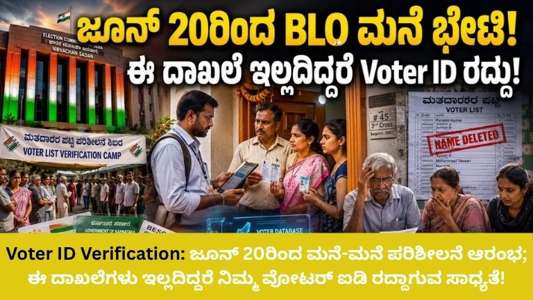 Voter ID Verification